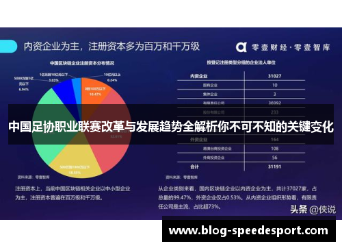 中国足协职业联赛改革与发展趋势全解析你不可不知的关键变化