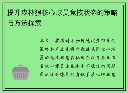 提升森林狼核心球员竞技状态的策略与方法探索
