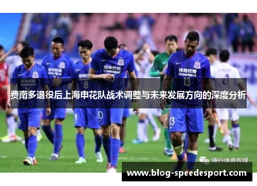 费南多退役后上海申花队战术调整与未来发展方向的深度分析