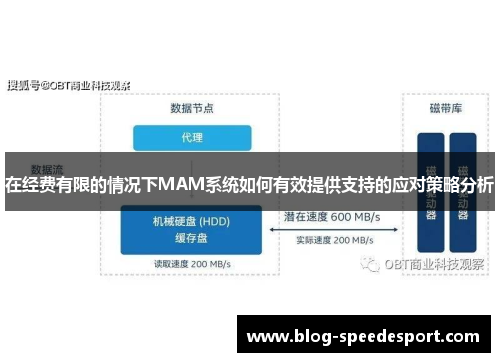 在经费有限的情况下MAM系统如何有效提供支持的应对策略分析