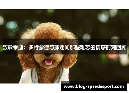 致敬泰迪：多特蒙德与球迷间那些难忘的情感时刻回顾
