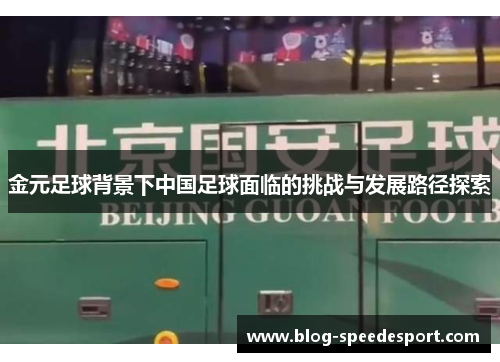 金元足球背景下中国足球面临的挑战与发展路径探索